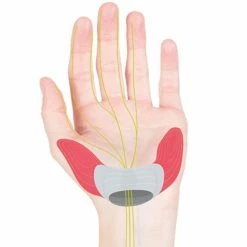 ERGON GA3-L Lenkergriffe Large Black -Sram Verkäufe ERGON GA3 L Lenkergriffe Large black 342245 b 4