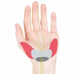 ERGON Griff GS2-S Schwarz (ab 2014) -Sram Verkäufe ERGON Griff GS2 S schwarz ab 2014 66284 b 2