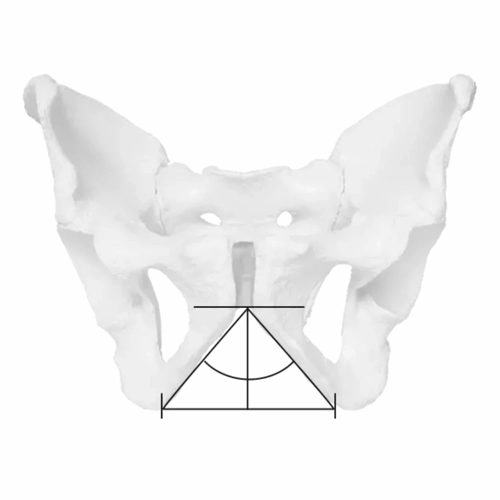 ERGON Sattel SM E-Mountain Core Prime Men M/L 10 ERGON Sattel SM E-Mountain Core Prime Men M/L – Bild 8