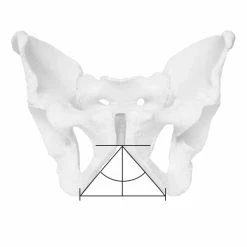 ERGON Sattel SMC Men Sport Gel M/L -Sram Verkäufe ERGON Sattel SMC Men Sport Gel M L 292390 b 5